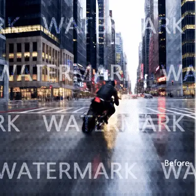video watermark remover